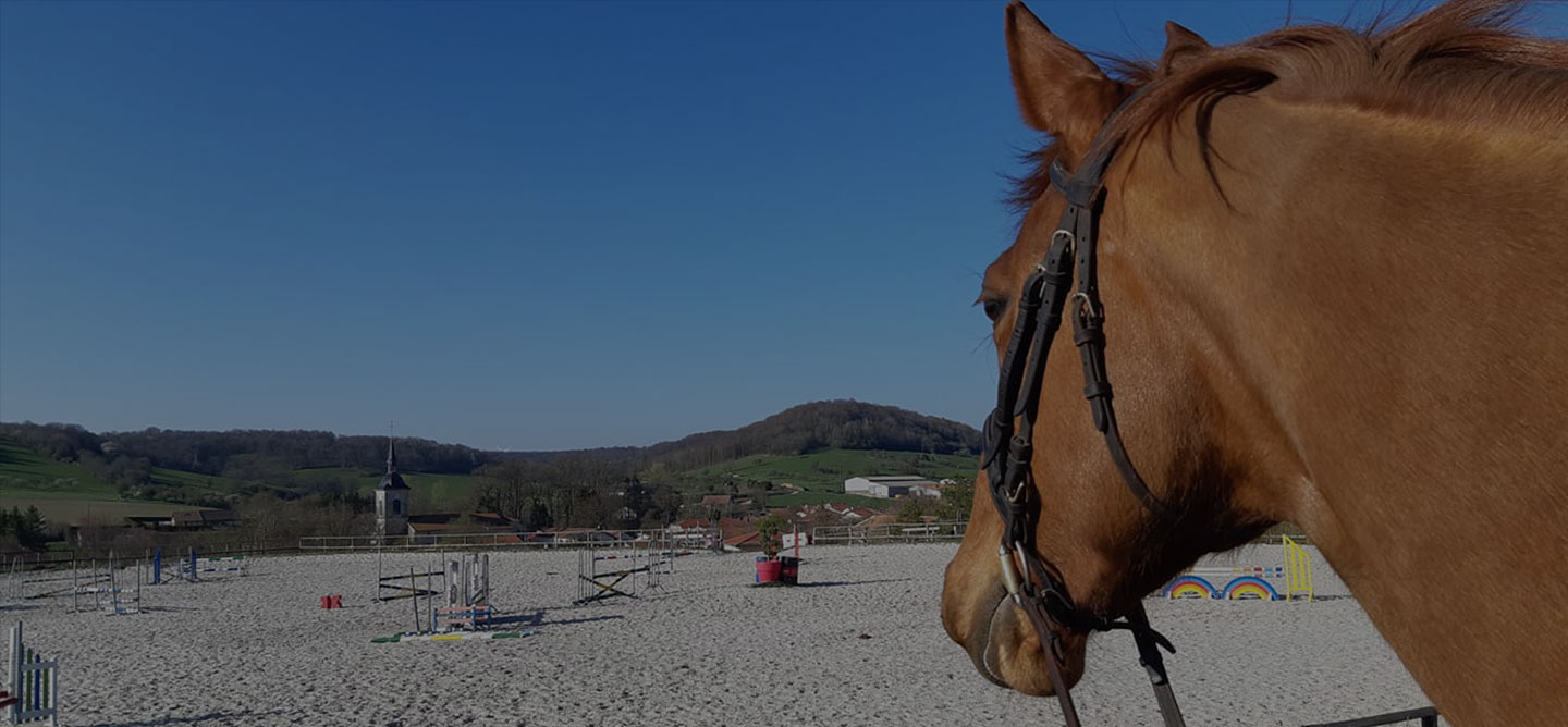 Centre Equestre du Louvant : cours d’équitation